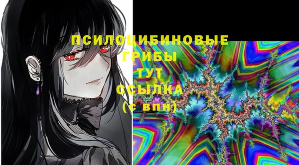 молекула духа Алексеевка