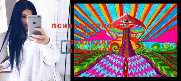 не бодяженный Алексин